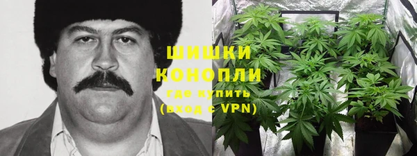 первитин Гусь-Хрустальный