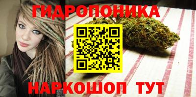 ПСИЛОЦИБИНОВЫЕ ГРИБЫ Краснознаменск