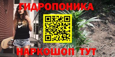 ПСИЛОЦИБИНОВЫЕ ГРИБЫ Краснодар