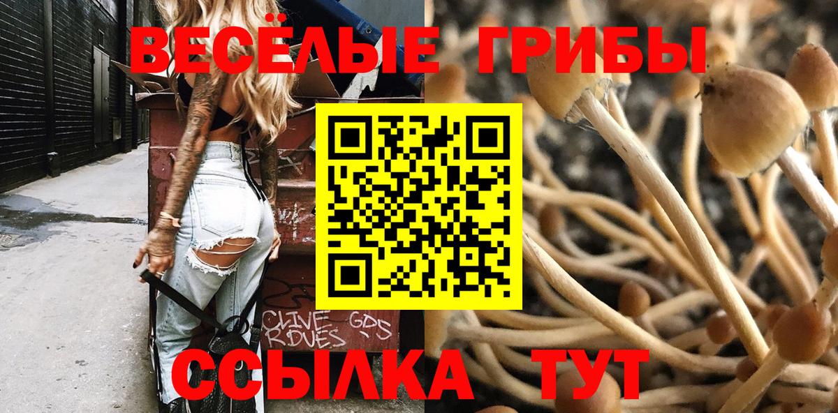 Псилоцибиновые грибы мицелий  Псилоцибиновые грибы мухоморы  Дюртюли 