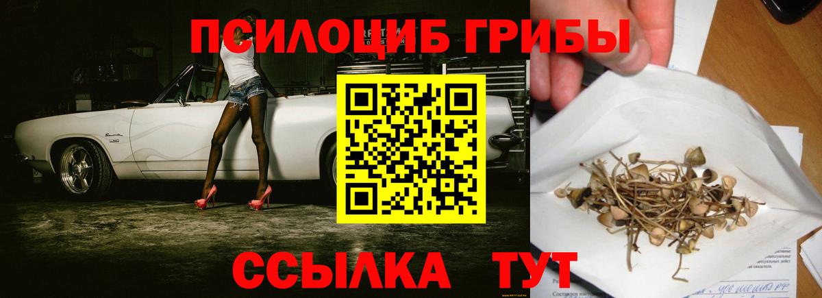 Дюртюли  Псилоцибиновые грибы мухоморы  Вход с VPN  Галлюциногенные грибы Psilocybe 